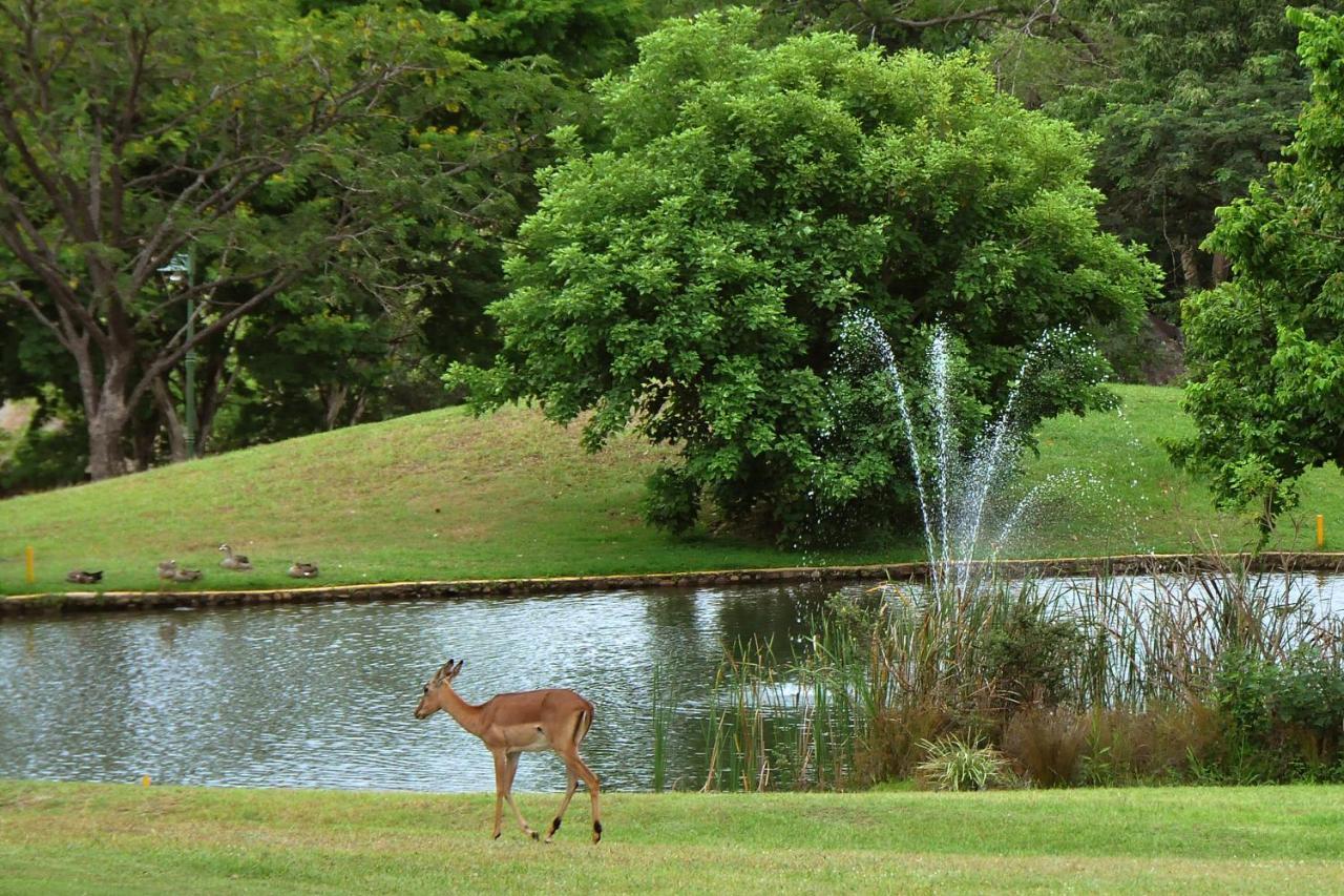 Kruger Park Lodge Unit No. 608B Hazyview Exteriör bild